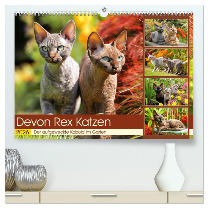 Devon Rex Katzen. Der aufgeweckte Kobold im Garten (CALVENDO Premium Wandkalender 2026)