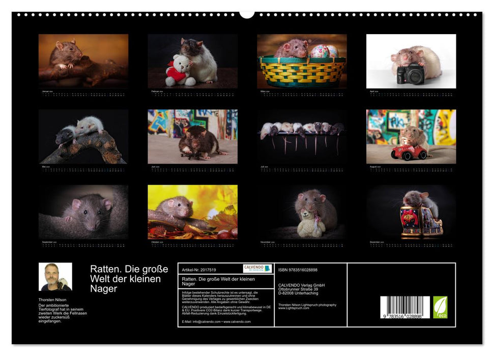 Ratten. Die große Welt der kleinen Nager (CALVENDO Premium Wandkalender 2026)