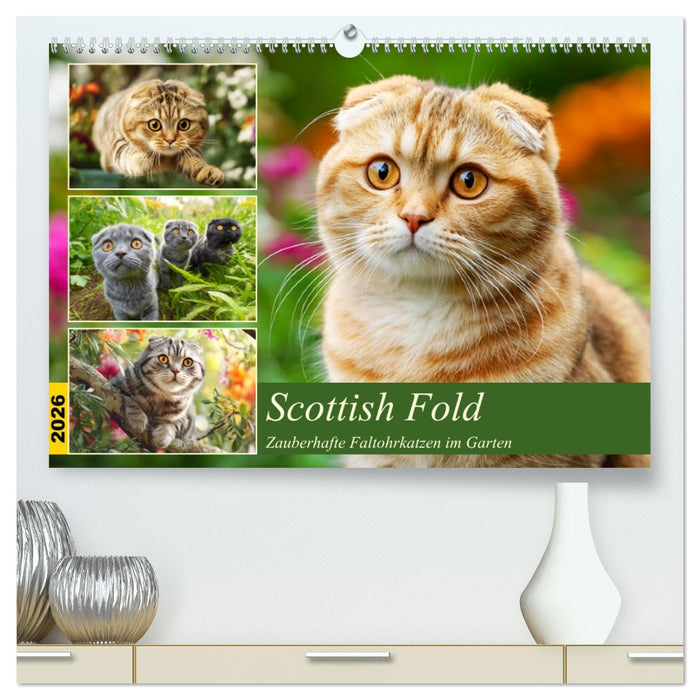 Scottish Fold. Zauberhafte Faltohrkatzen im Garten (CALVENDO Premium Wandkalender 2026)