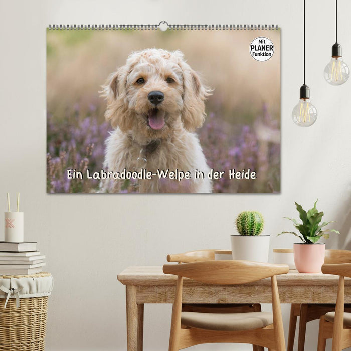 Ein Labradoodle-Welpe in der Heide (CALVENDO Wandkalender 2026)