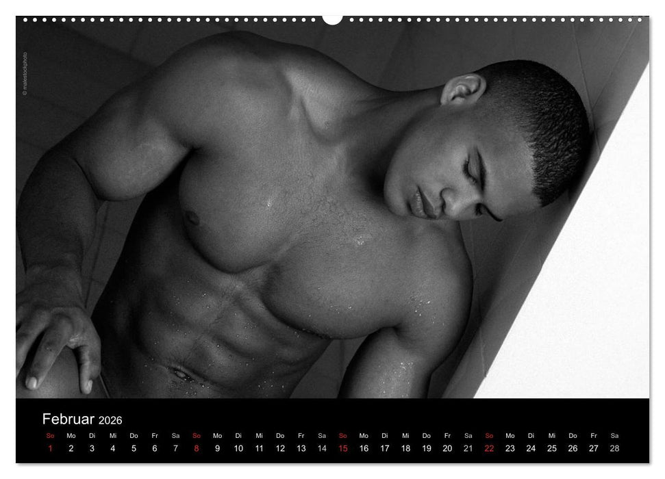 Traummänner Männerträume (CALVENDO Wandkalender 2026)