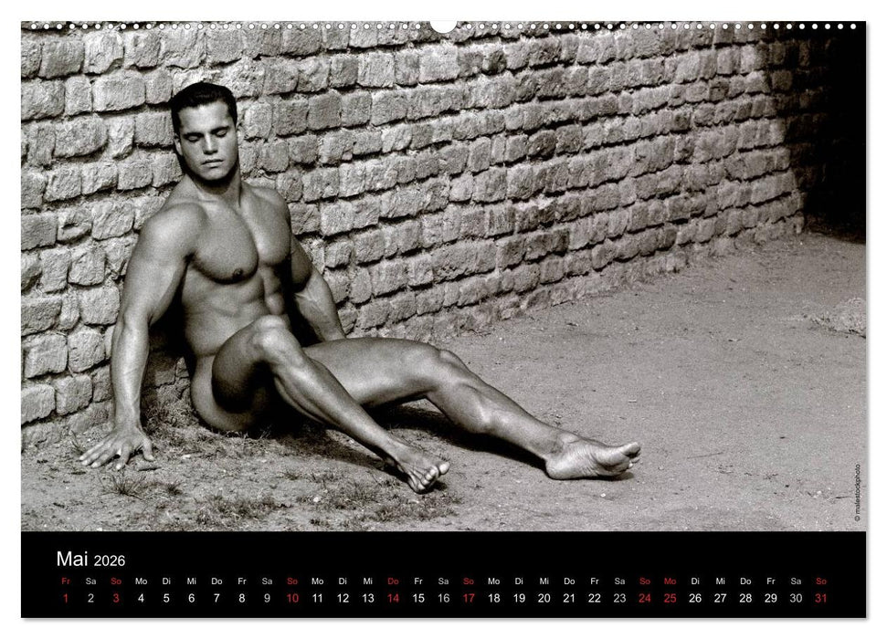Traummänner Männerträume (CALVENDO Wandkalender 2026)