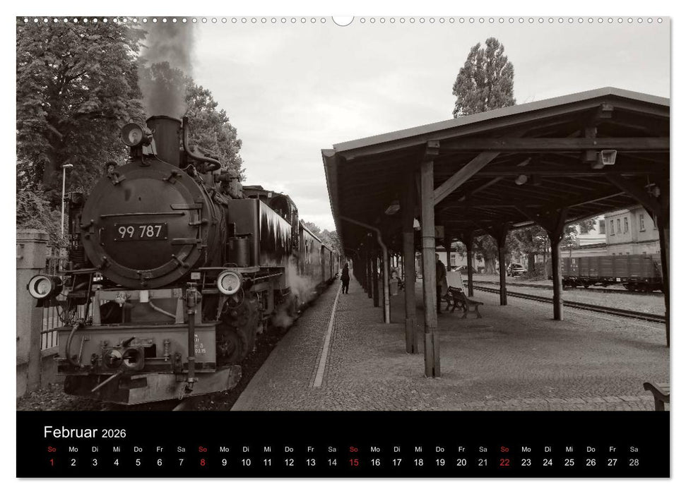 Ein Jahr mit der Schmalspurbahn aus Zittau (CALVENDO Premium Wandkalender 2026)