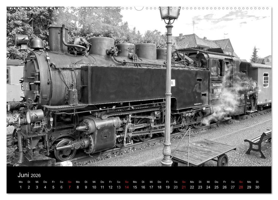 Ein Jahr mit der Schmalspurbahn aus Zittau (CALVENDO Premium Wandkalender 2026)