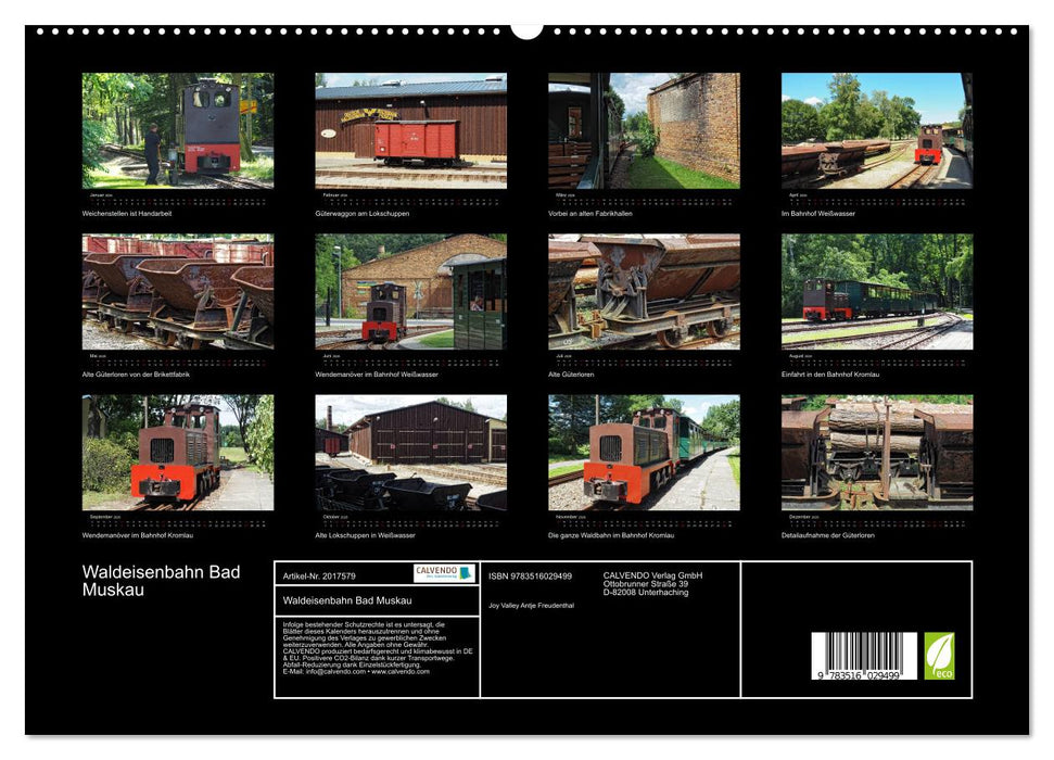 Waldeisenbahn Bad Muskau (CALVENDO Premium Wandkalender 2026)