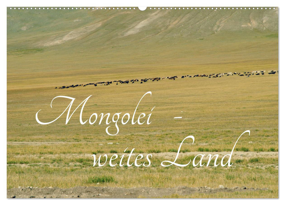 Mongolei - weites Land (CALVENDO Wandkalender 2026)