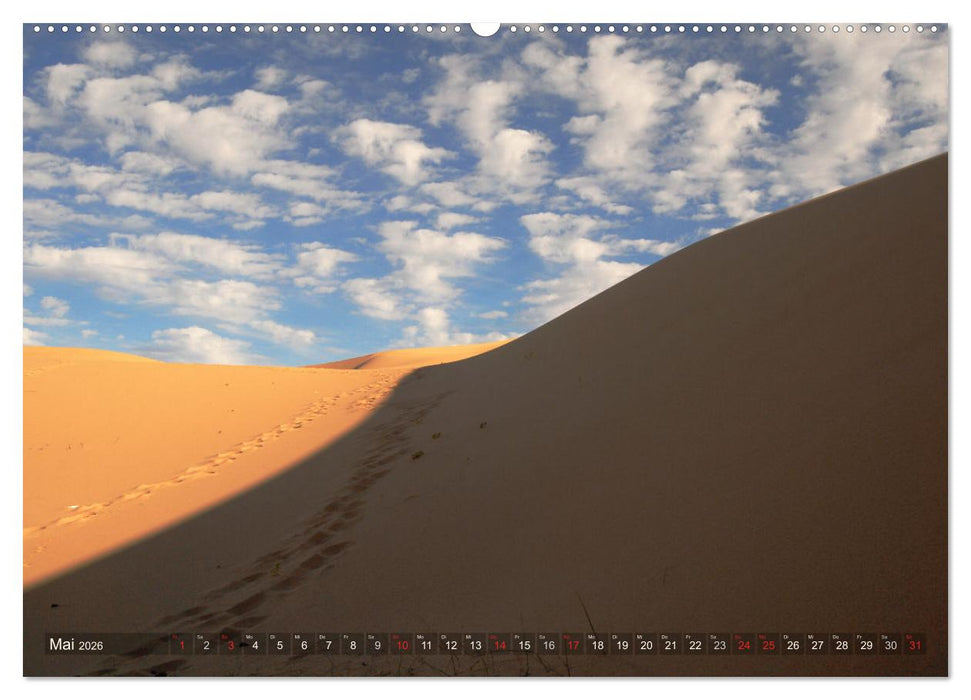 Mongolei - weites Land (CALVENDO Wandkalender 2026)