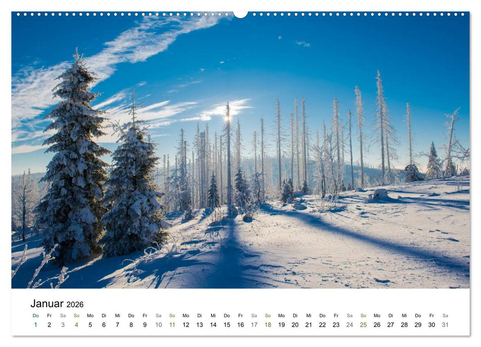 Traumlandschaften im Bayrischen Wald (CALVENDO Wandkalender 2026)