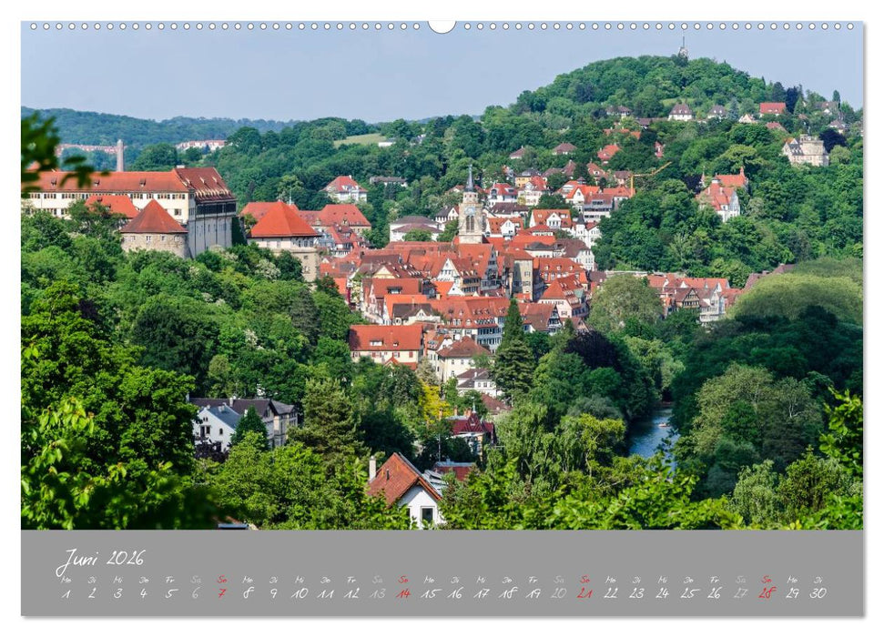 Zwölf Monate in Tübingen (CALVENDO Wandkalender 2026)