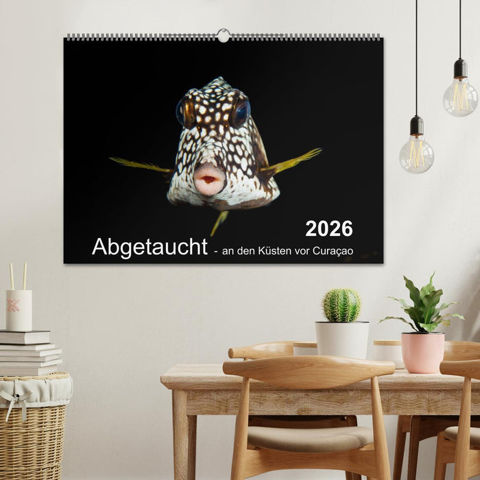 Abgetaucht - an den Küsten vor Curaçao (CALVENDO Wandkalender 2026)