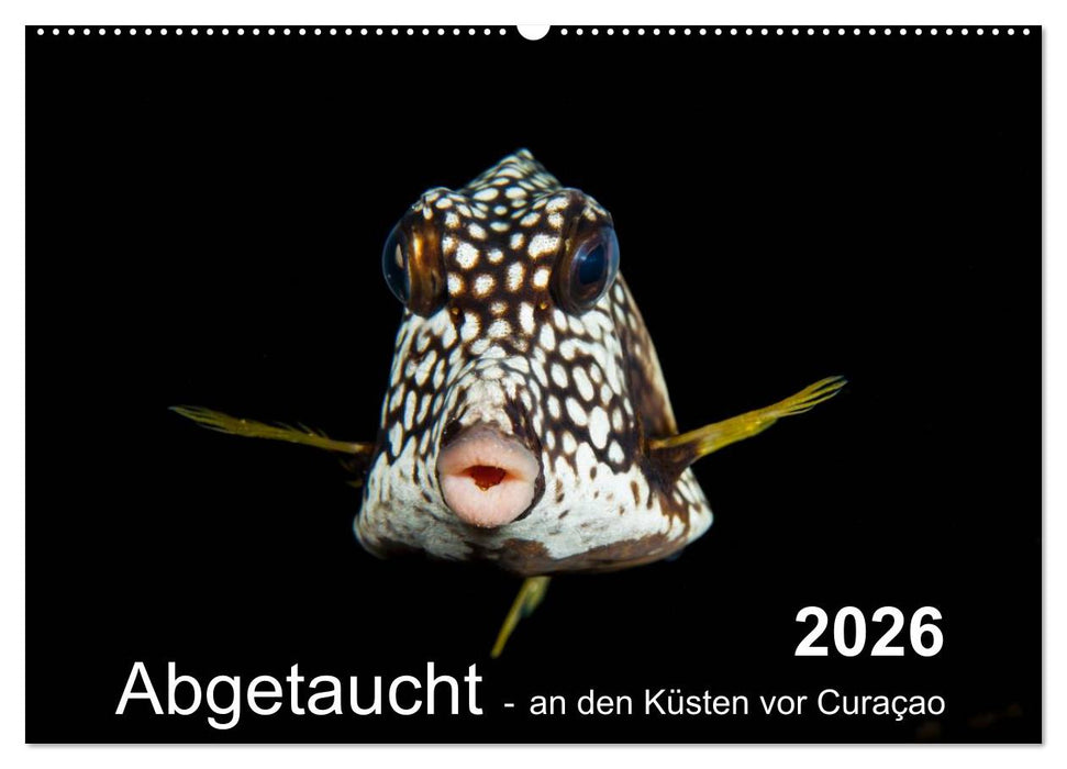 Abgetaucht - an den Küsten vor Curaçao (CALVENDO Wandkalender 2026)