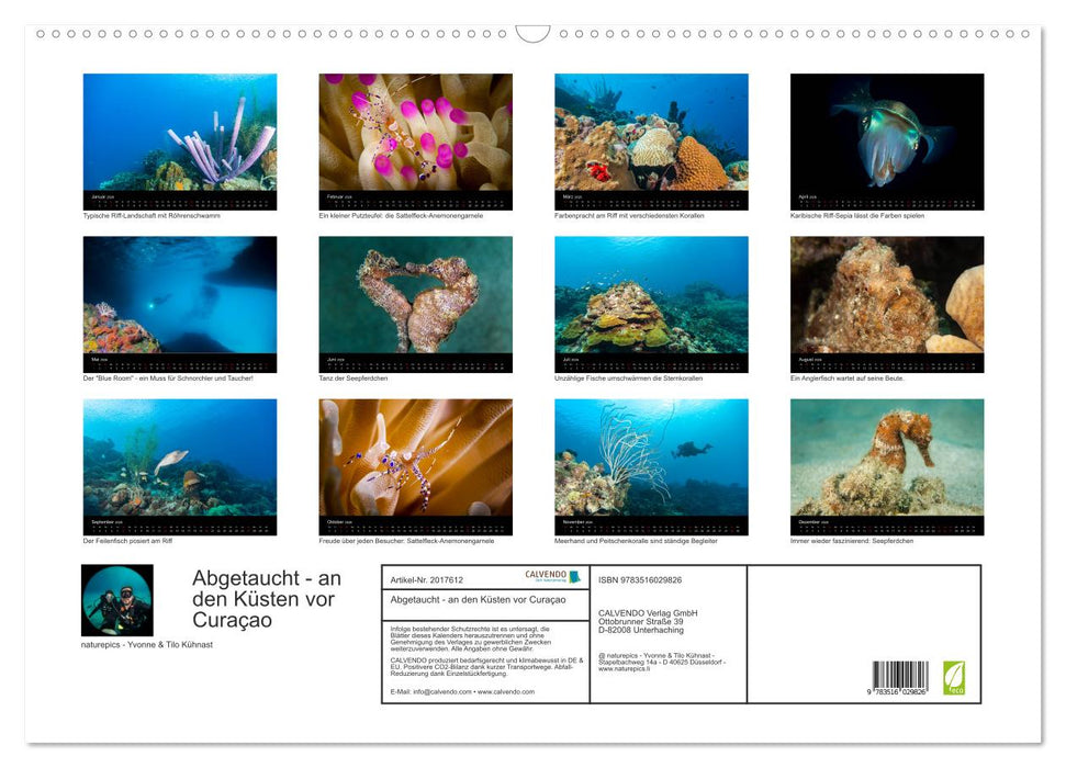 Abgetaucht - an den Küsten vor Curaçao (CALVENDO Wandkalender 2026)