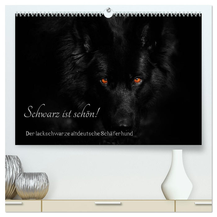 Schwarz ist schön! Der lackschwarze altdeutsche Schäferhund (CALVENDO Premium Wandkalender 2026)
