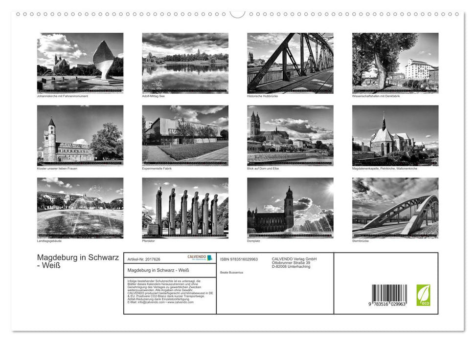 Magdeburg in Schwarz - Weiß (CALVENDO Premium Wandkalender 2026)