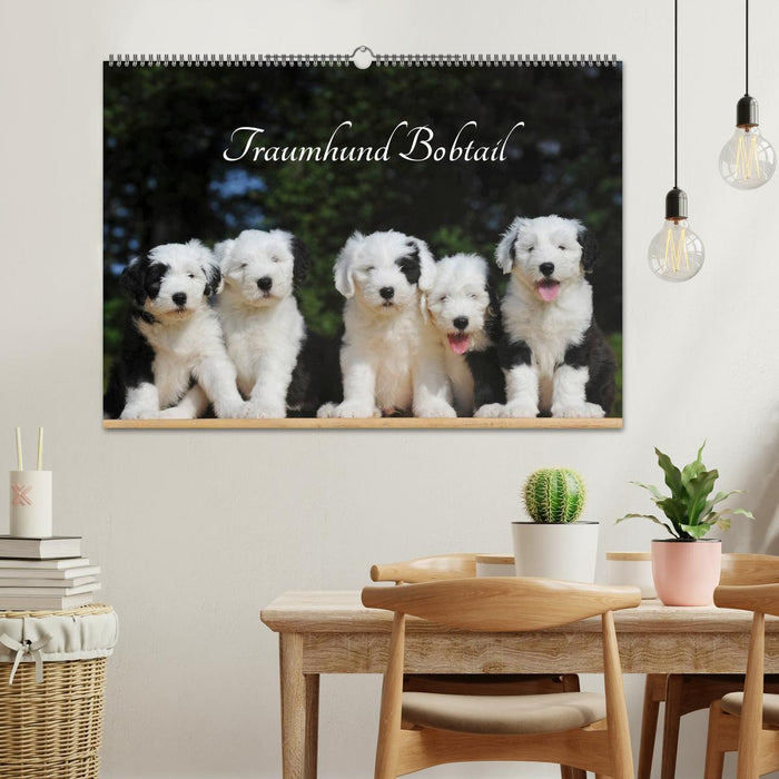 Traumhund Bobtail (CALVENDO Wandkalender 2026)