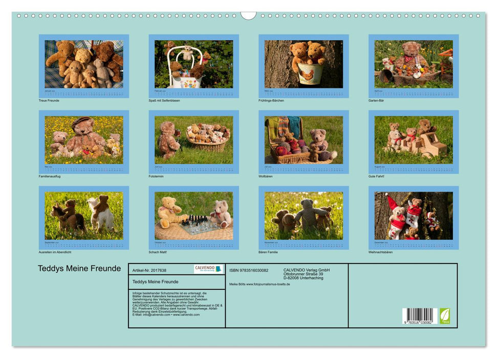 Teddys Meine Freunde (CALVENDO Wandkalender 2026)
