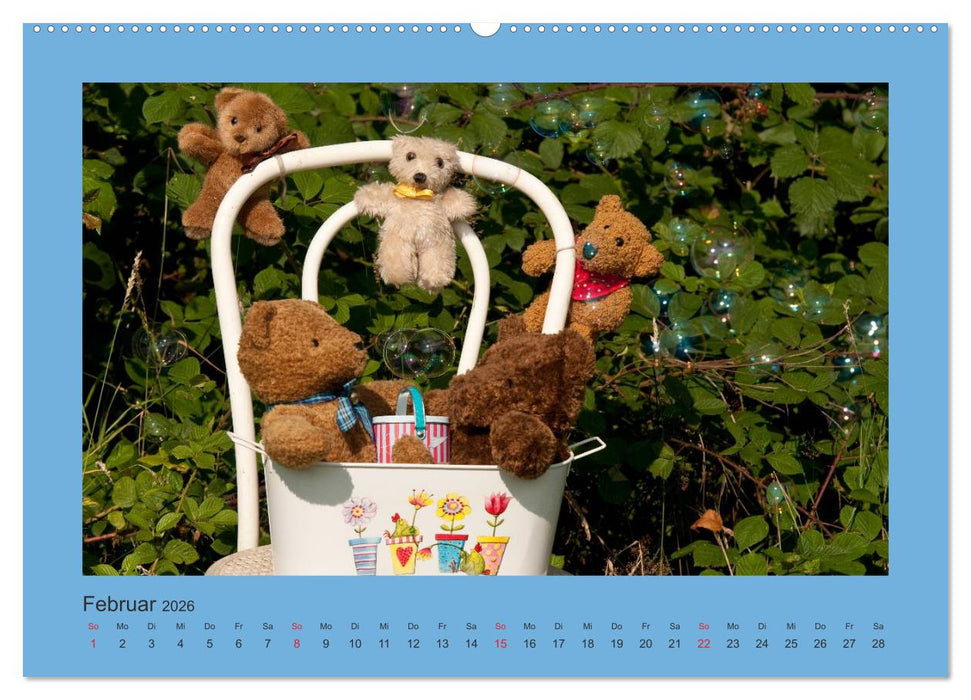 Teddys Meine Freunde (CALVENDO Wandkalender 2026)