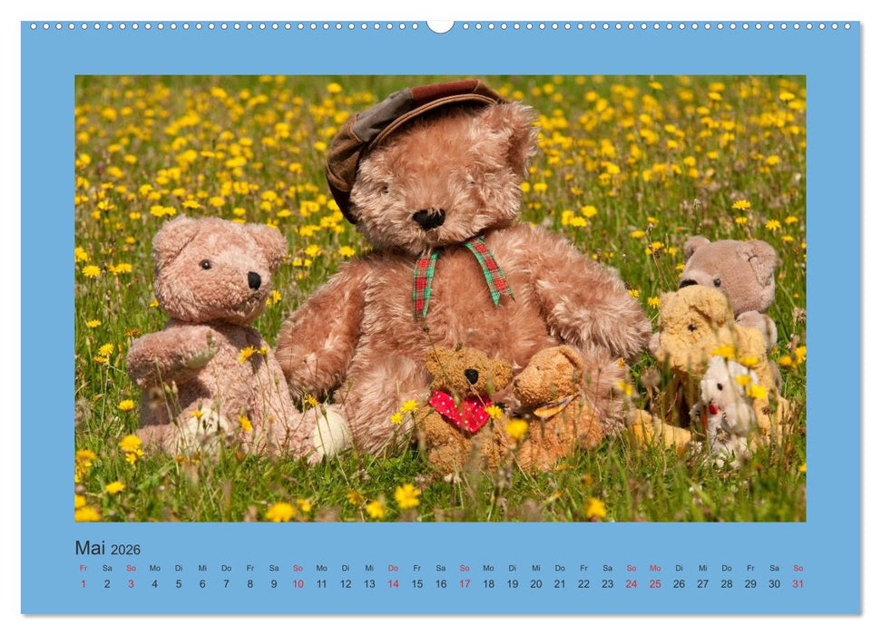Teddys Meine Freunde (CALVENDO Wandkalender 2026)