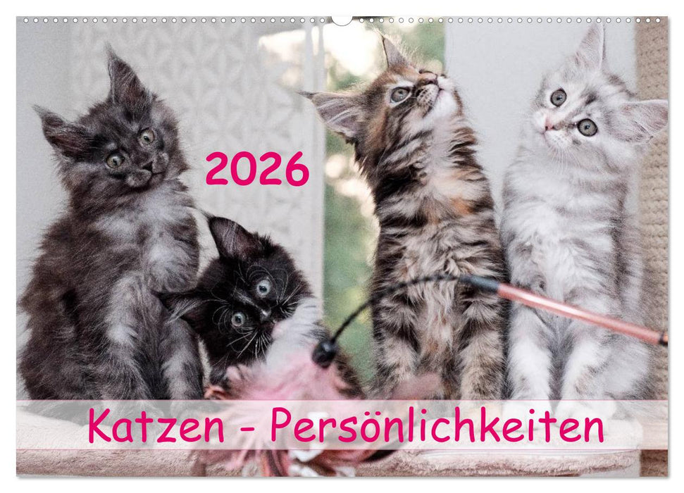 Katzen Persönlichkeiten 2026 (CALVENDO Wandkalender 2026)