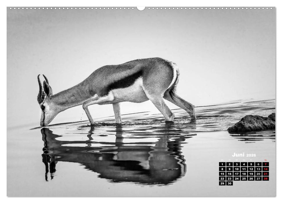 Namibia schwarzweiß (CALVENDO Premium Wandkalender 2026)
