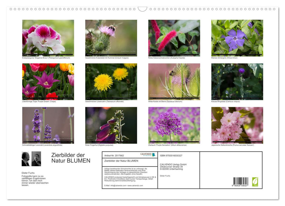 Zierbilder der Natur BLUMEN (CALVENDO Wandkalender 2026)