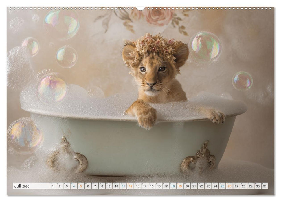 Wasserschlacht mit Flauschalarm (CALVENDO Premium Wandkalender 2026)