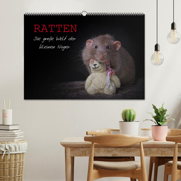 Ratten. Die große Welt der kleinen Nager (CALVENDO Wandkalender 2026)