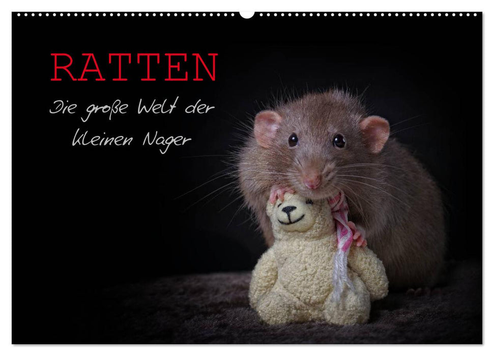 Ratten. Die große Welt der kleinen Nager (CALVENDO Wandkalender 2026)