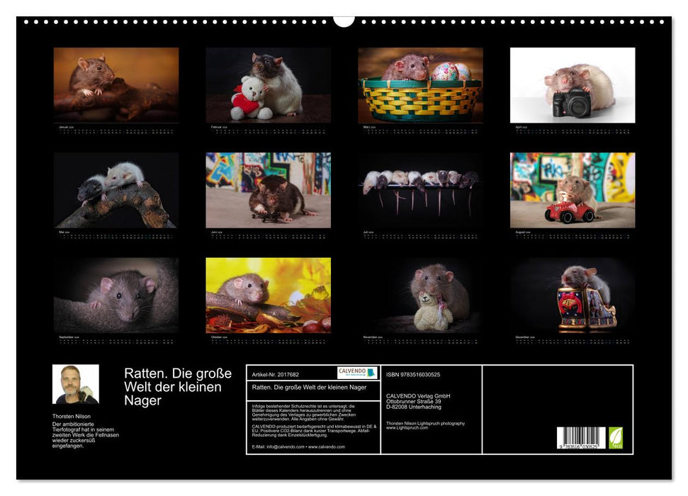 Ratten. Die große Welt der kleinen Nager (CALVENDO Wandkalender 2026)