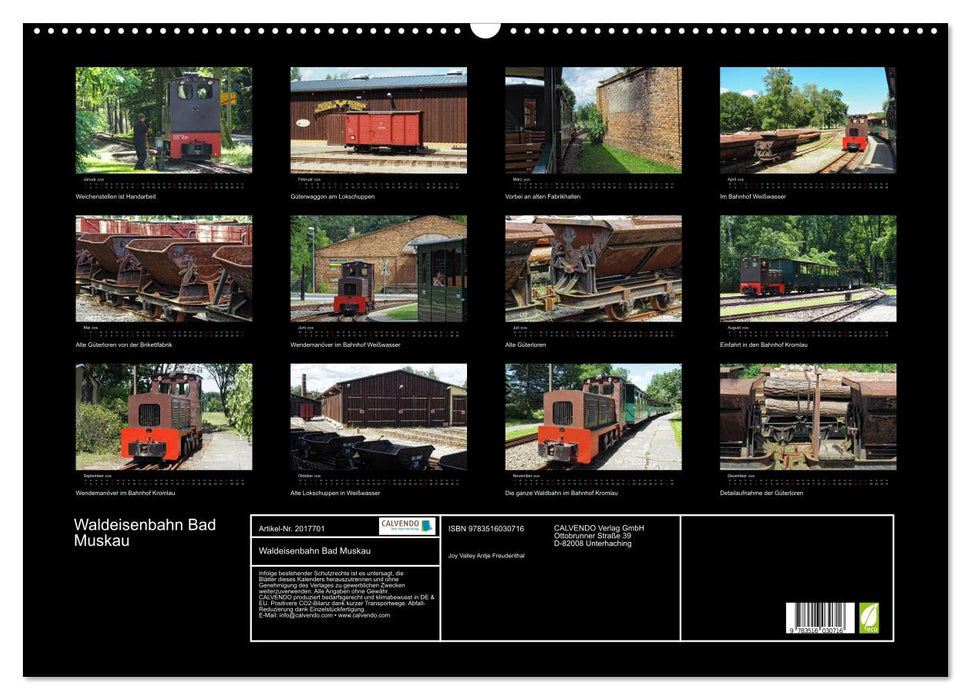 Waldeisenbahn Bad Muskau (CALVENDO Wandkalender 2026)