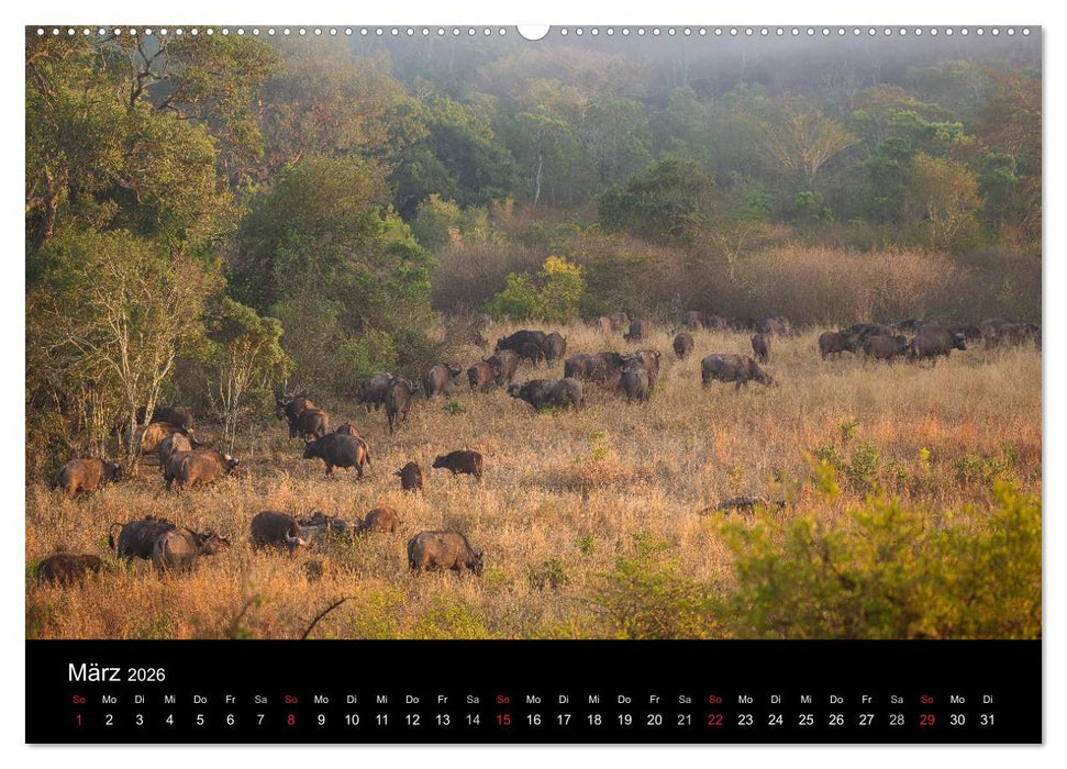 Wunderschönes Südafrika (CALVENDO Wandkalender 2026)