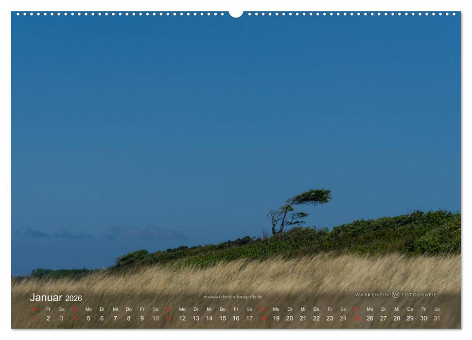 Prerows Wilder Westen (CALVENDO Wandkalender 2026)