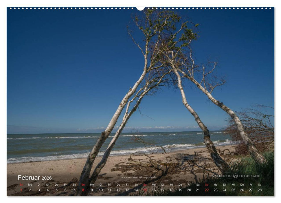 Prerows Wilder Westen (CALVENDO Wandkalender 2026)