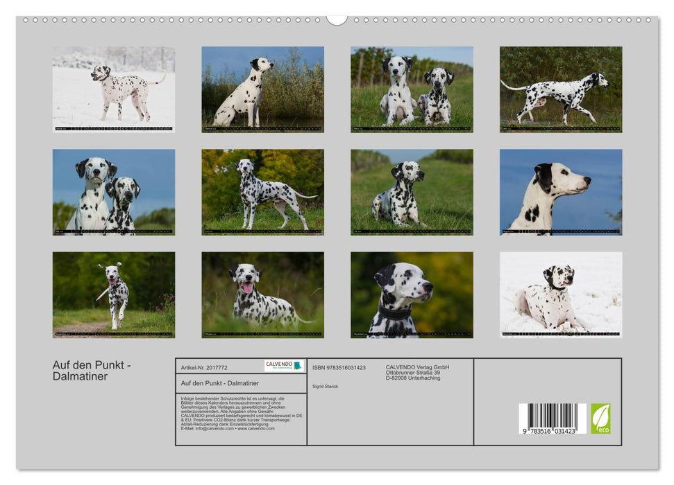 Auf den Punkt - Dalmatiner (CALVENDO Premium Wandkalender 2026)