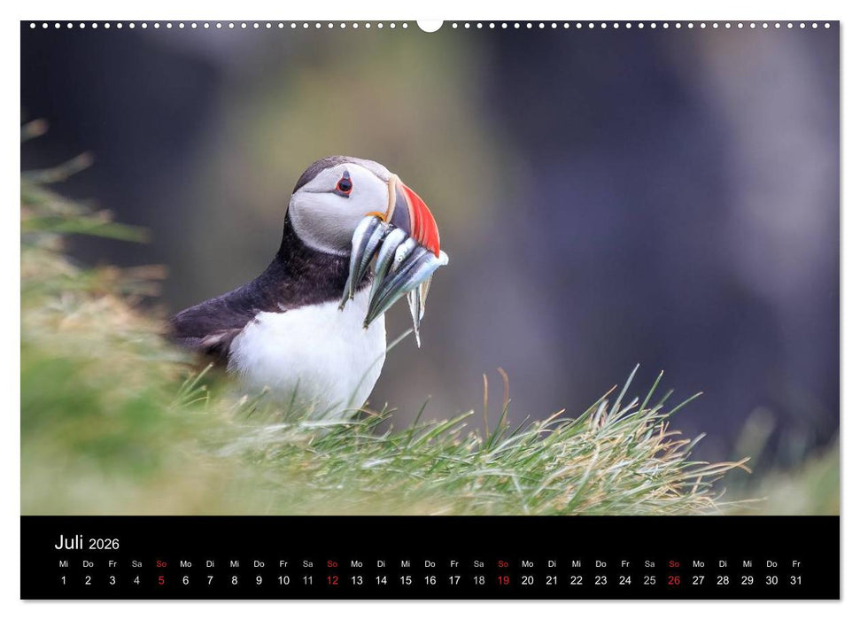 ISLAND - Zauber der Natur (CALVENDO Premium Wandkalender 2026)