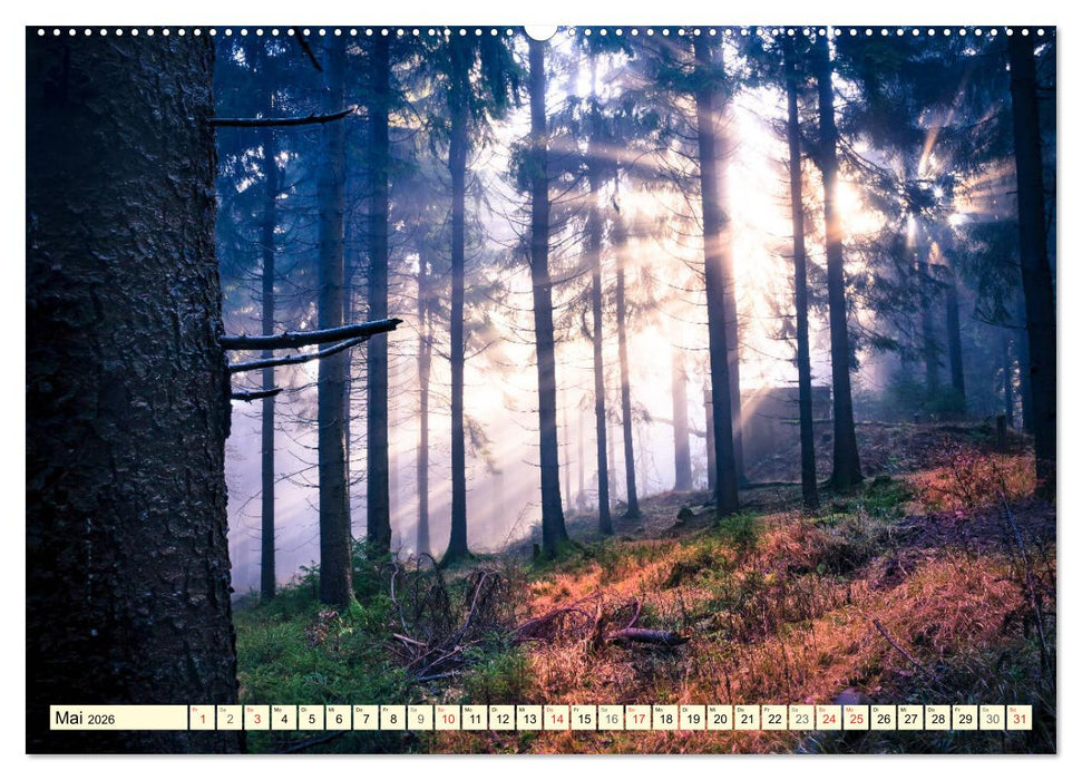 Mystische Wälder - Zauber der Natur (CALVENDO Premium Wandkalender 2026)