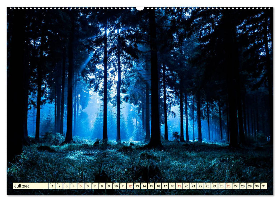 Mystische Wälder - Zauber der Natur (CALVENDO Premium Wandkalender 2026)