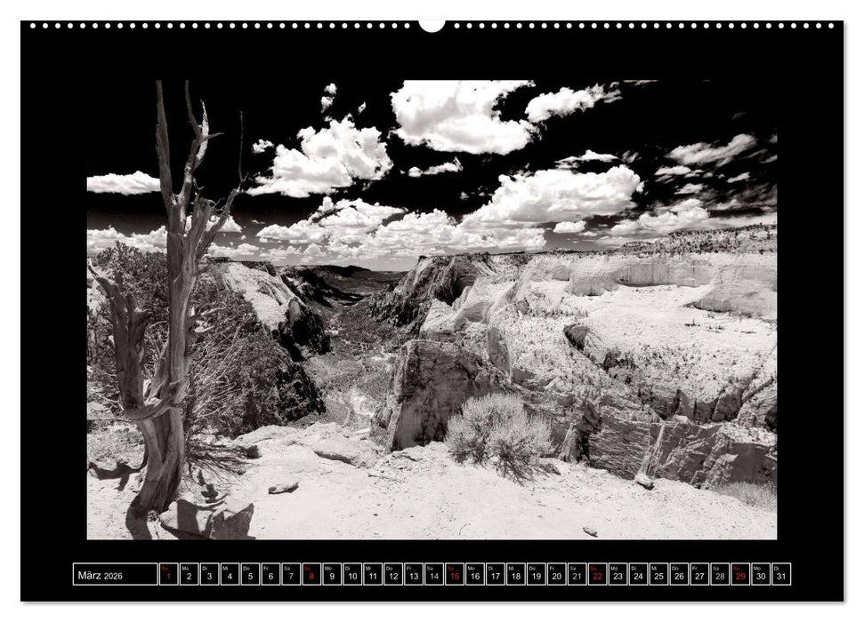 USA - 4000 Meilen Südwest Hommage an die großen SW-Fotografen Amerikas (CALVENDO Premium Wandkalender 2026)