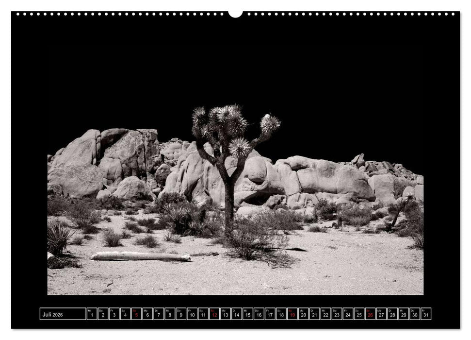 USA - 4000 Meilen Südwest Hommage an die großen SW-Fotografen Amerikas (CALVENDO Premium Wandkalender 2026)