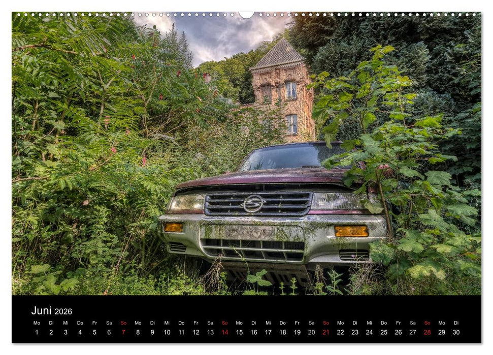 Rostlauben - vergessene Klassiker (CALVENDO Premium Wandkalender 2026)