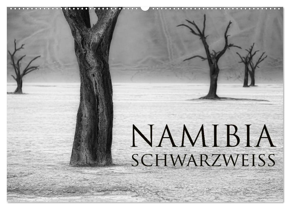Namibia schwarzweiß (CALVENDO Wandkalender 2026)