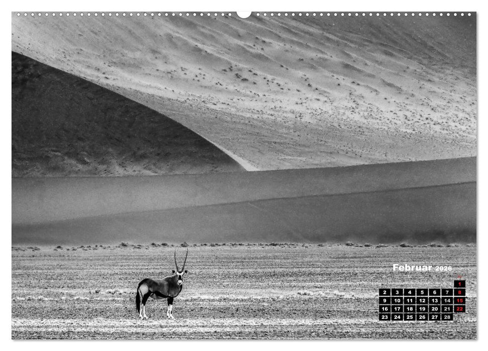 Namibia schwarzweiß (CALVENDO Wandkalender 2026)