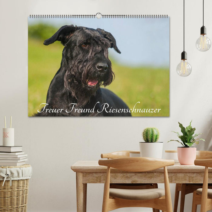 Treuer Freund Riesenschnauzer (CALVENDO Wandkalender 2026)