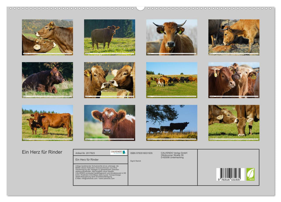 Ein Herz für Rinder (CALVENDO Premium Wandkalender 2026)