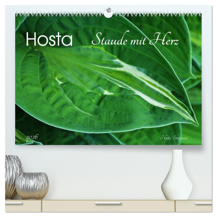 Hosta Staude mit Herz (CALVENDO Premium Wandkalender 2026)