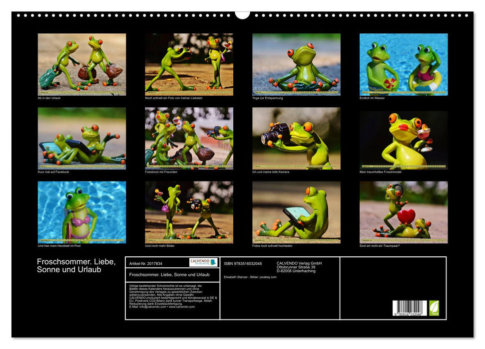 Froschsommer. Liebe, Sonne und Urlaub (CALVENDO Wandkalender 2026)
