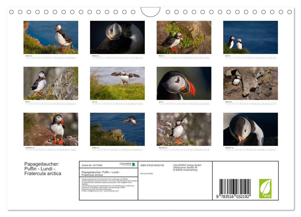 Papageitaucher: Puffin - Lundi - Fratercula arctica (CALVENDO Wandkalender 2026)