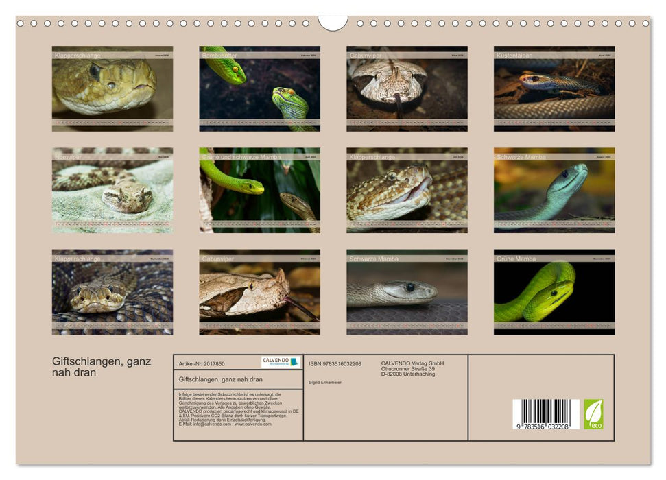 Giftschlangen, ganz nah dran (CALVENDO Wandkalender 2026)