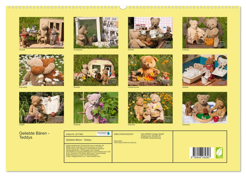 Geliebte Bären - Teddys (CALVENDO Premium Wandkalender 2026)