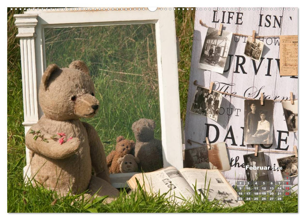 Geliebte Bären - Teddys (CALVENDO Premium Wandkalender 2026)